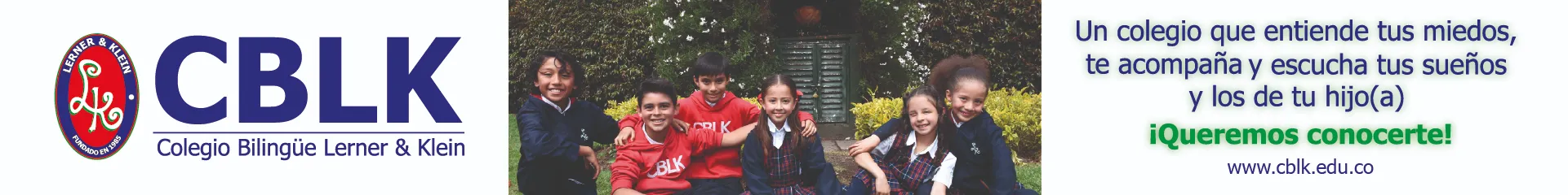 Pauta