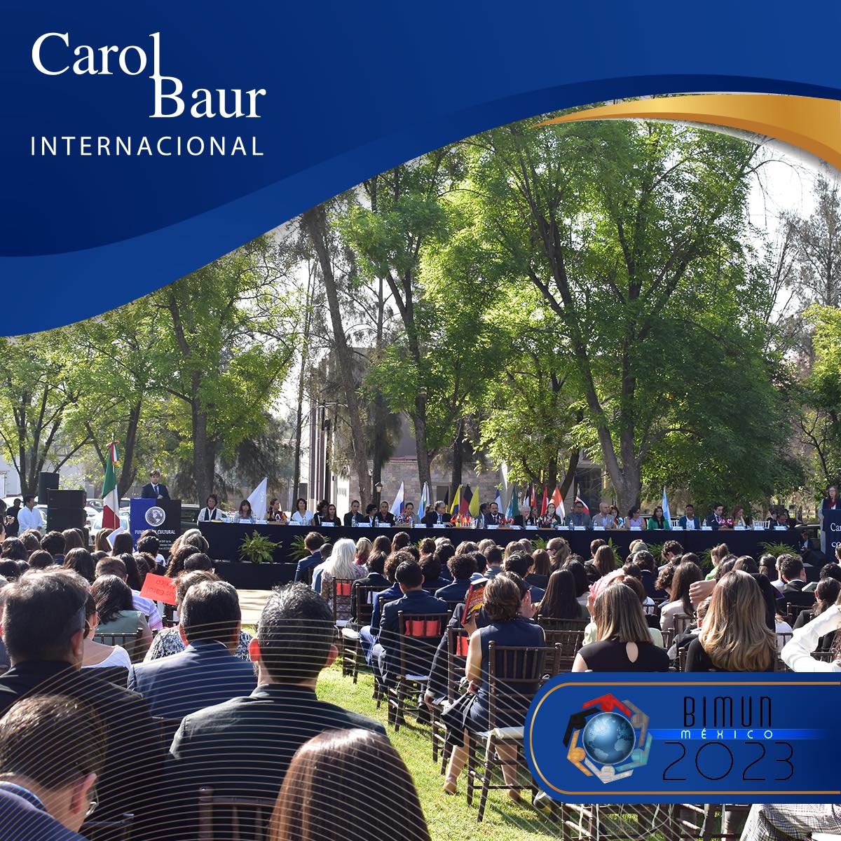 Carol Baur International