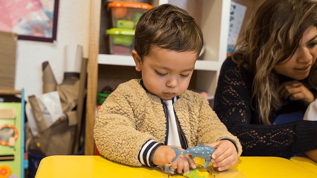 The Edron Academy (El Colegio Británico A.C. ) (Ciudad de México)