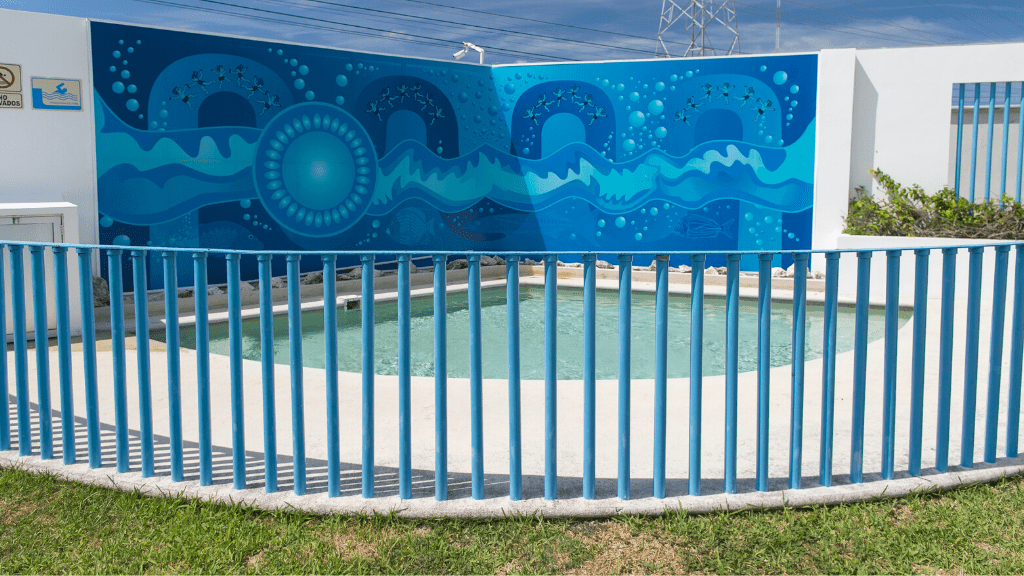 Colegio Creativos (Cancún)