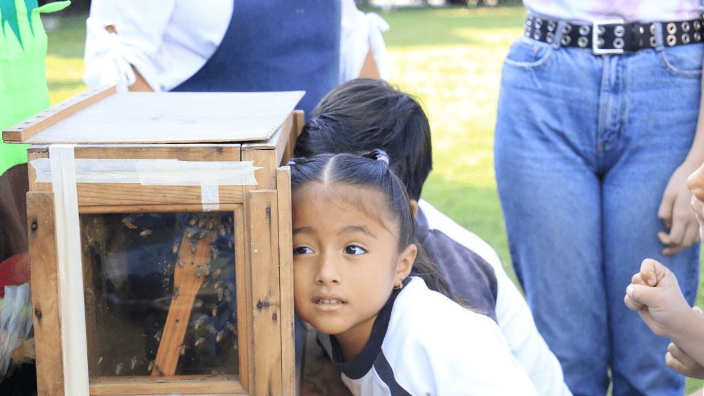 Colegio Williams (Cuernavaca)