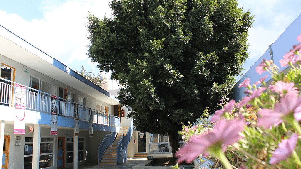 Avalon International School (Ciudad de México)